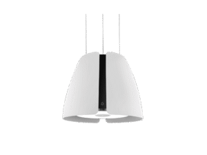 Miss W